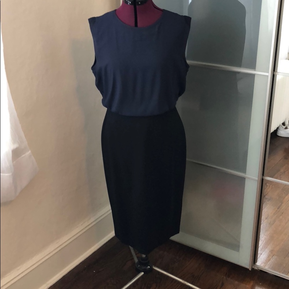 Loft dress with silk top and pointe bottom